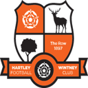 team logo