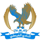 team logo