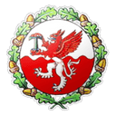 team logo