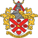 team logo