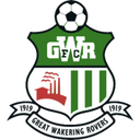 team logo