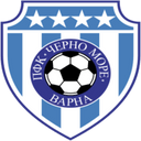 team logo
