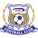 team logo