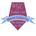 team logo
