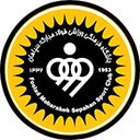 team logo