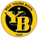 team logo