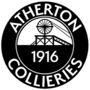 team logo