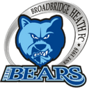 team logo
