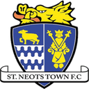 team logo