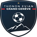 team logo