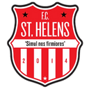 team logo