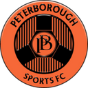 team logo