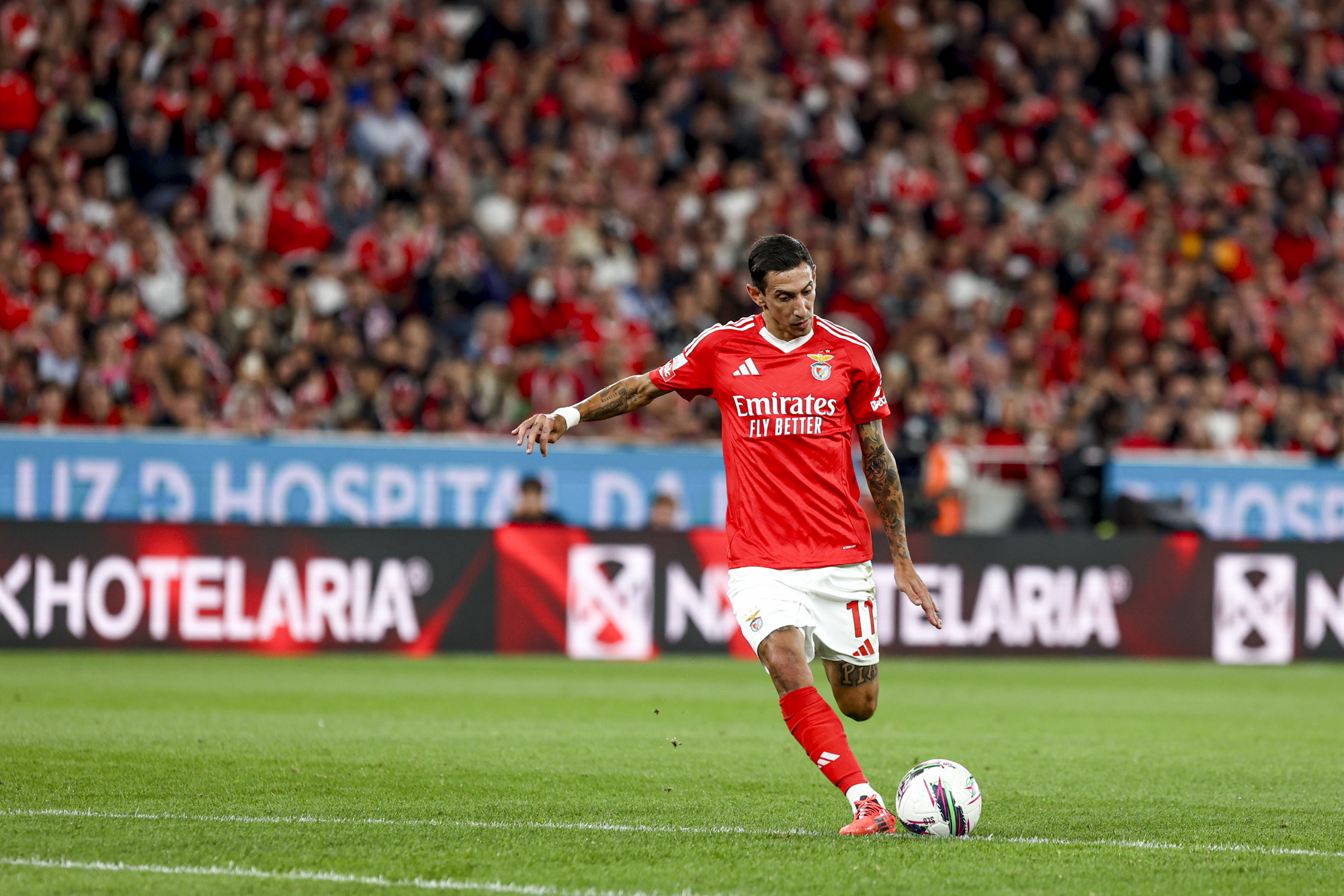 Angel Di Maria Benfica