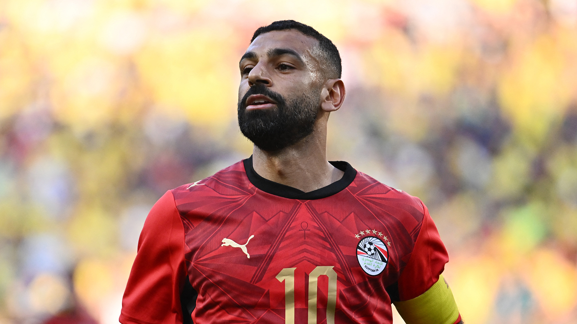 Belgium v Egypt