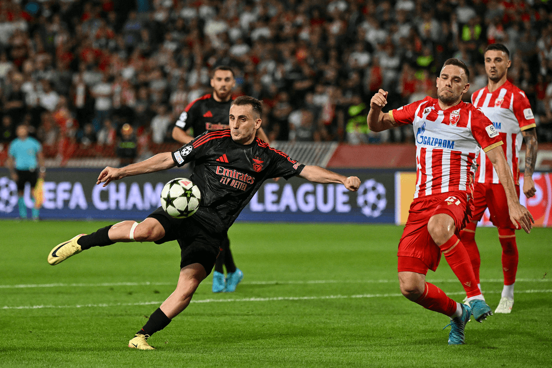 Red Star Belgrade 1-2 Benfica - Highlights | beIN SPORTS