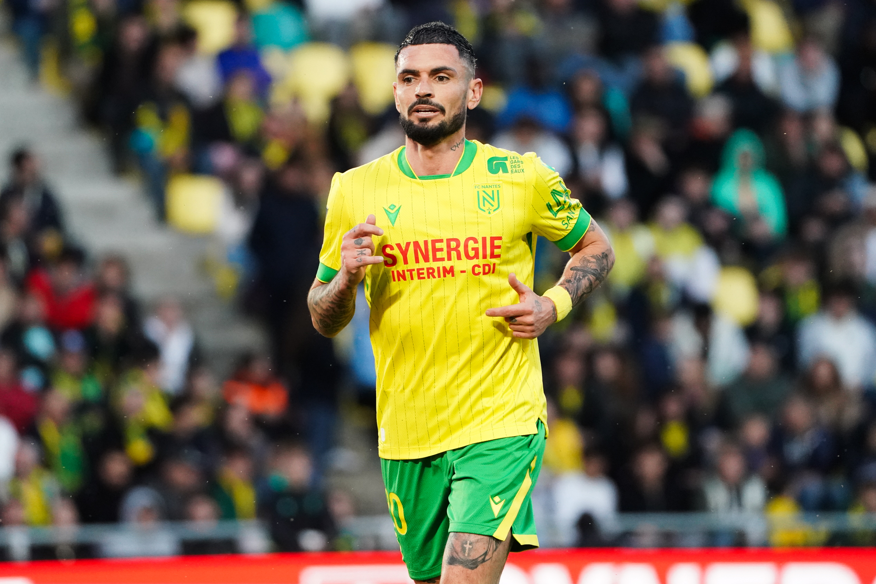 Cabella