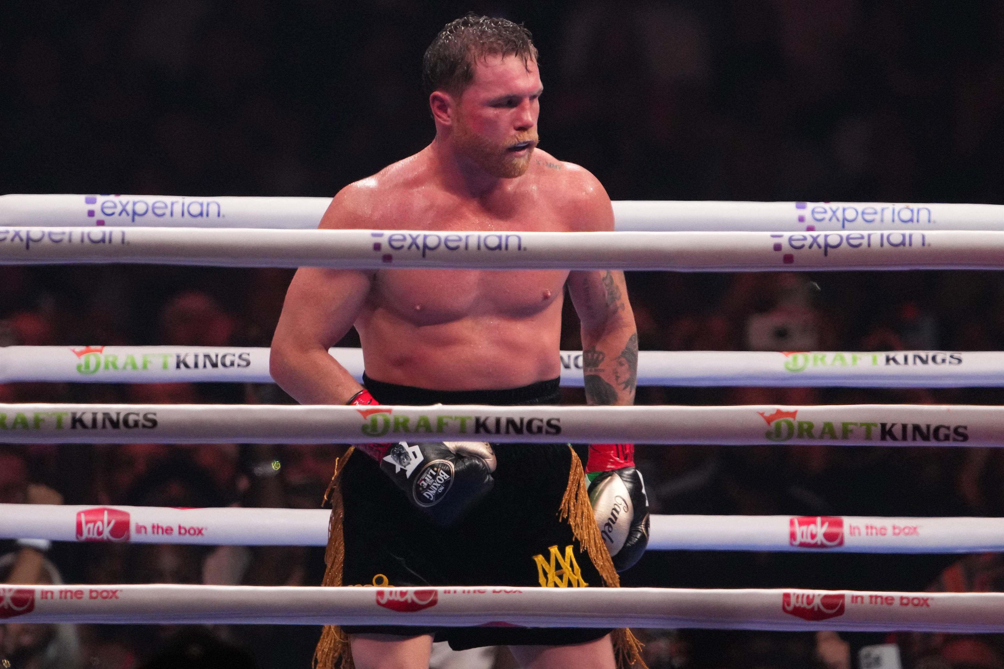 Canelo Álvarez