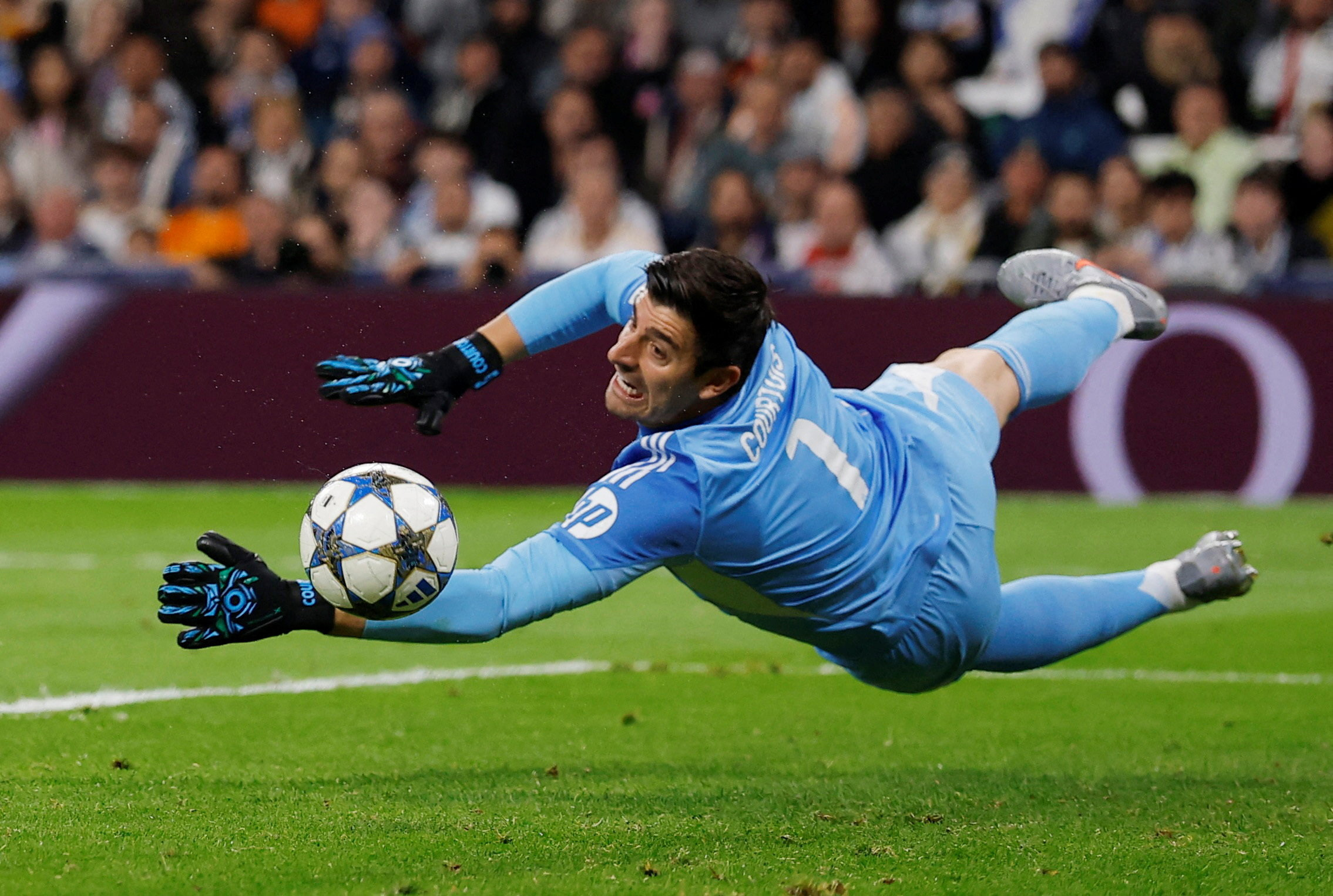Courtois plongeon City