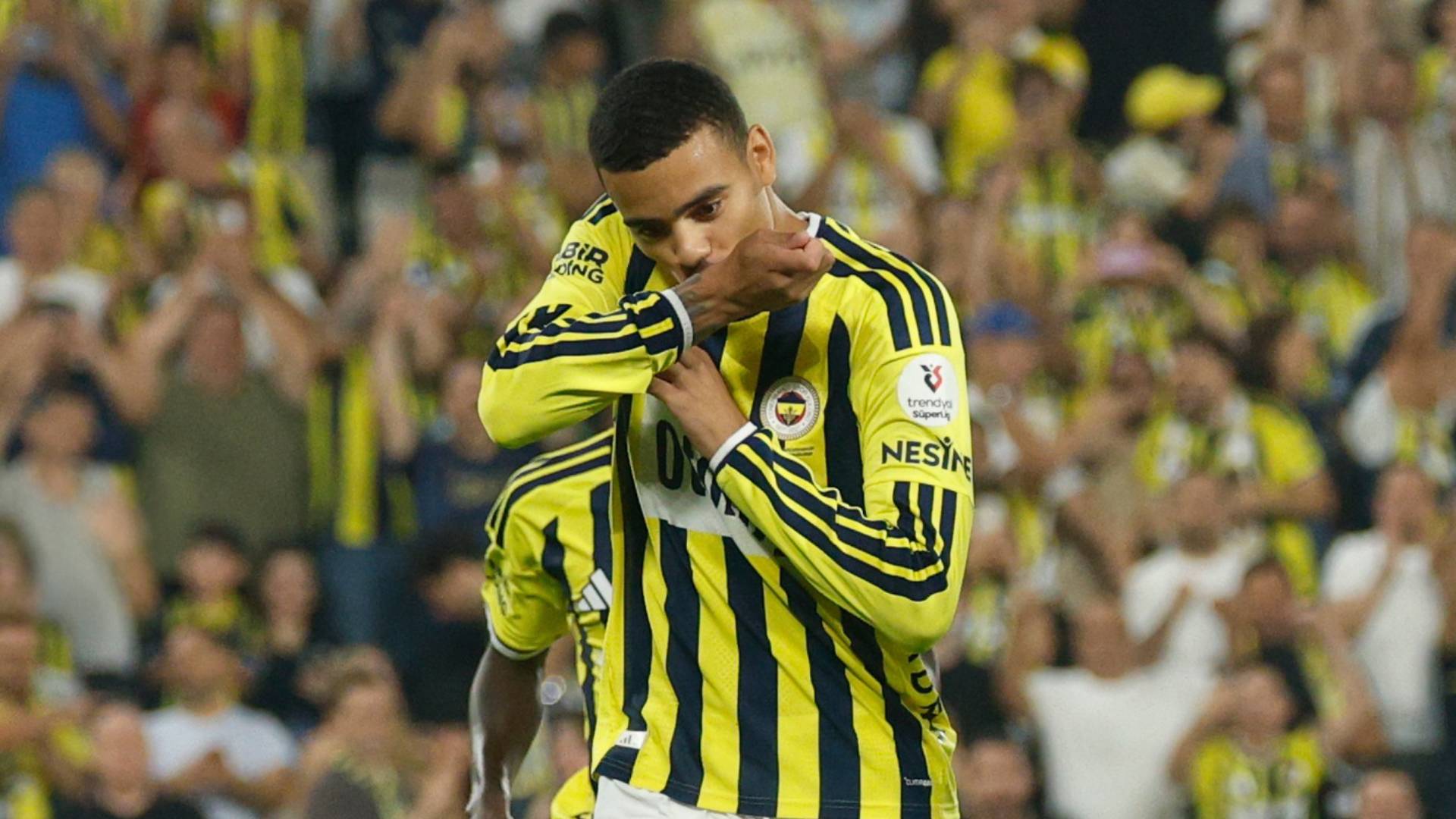 Greenwood Fenerbahce