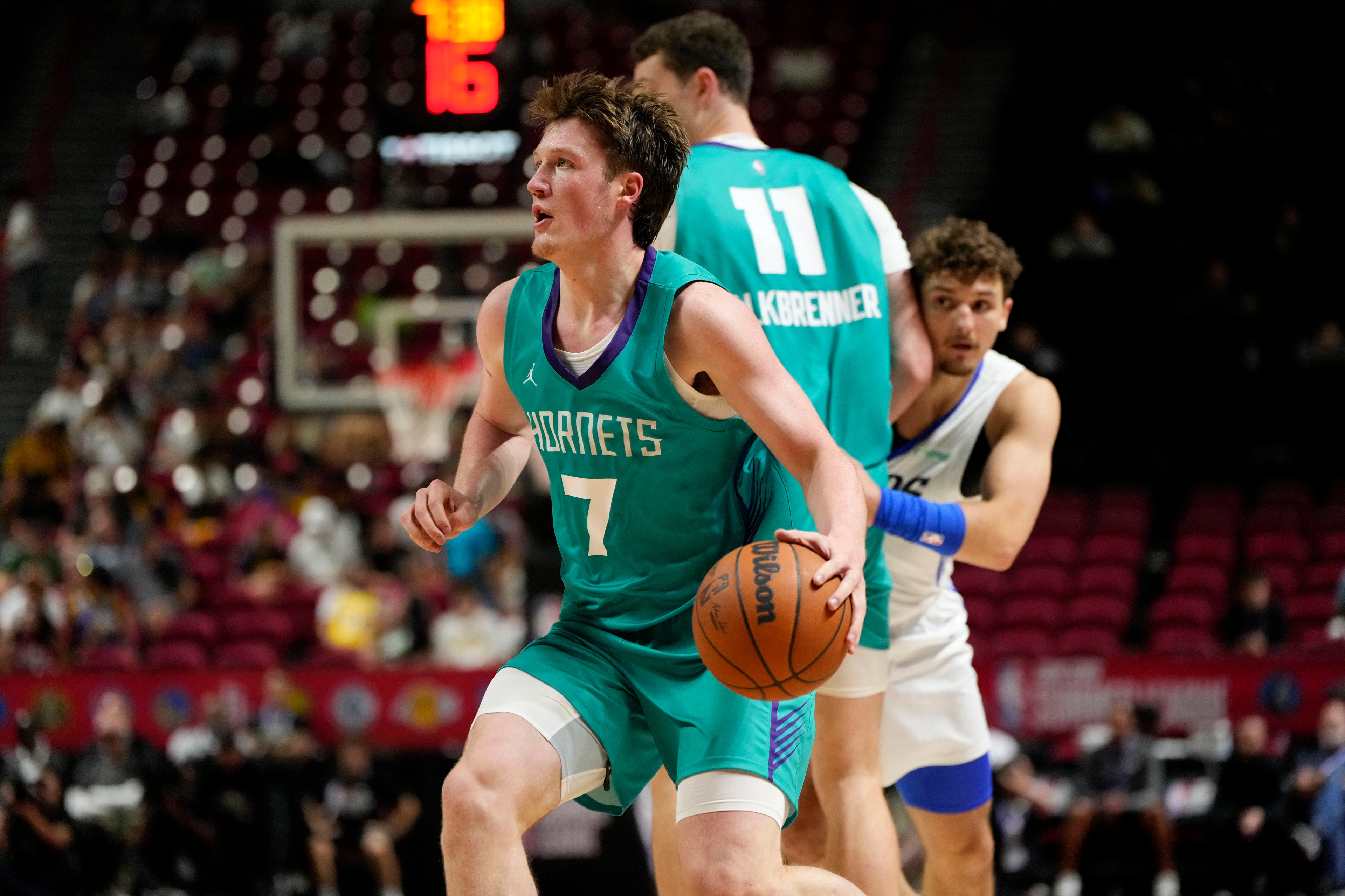Hornets