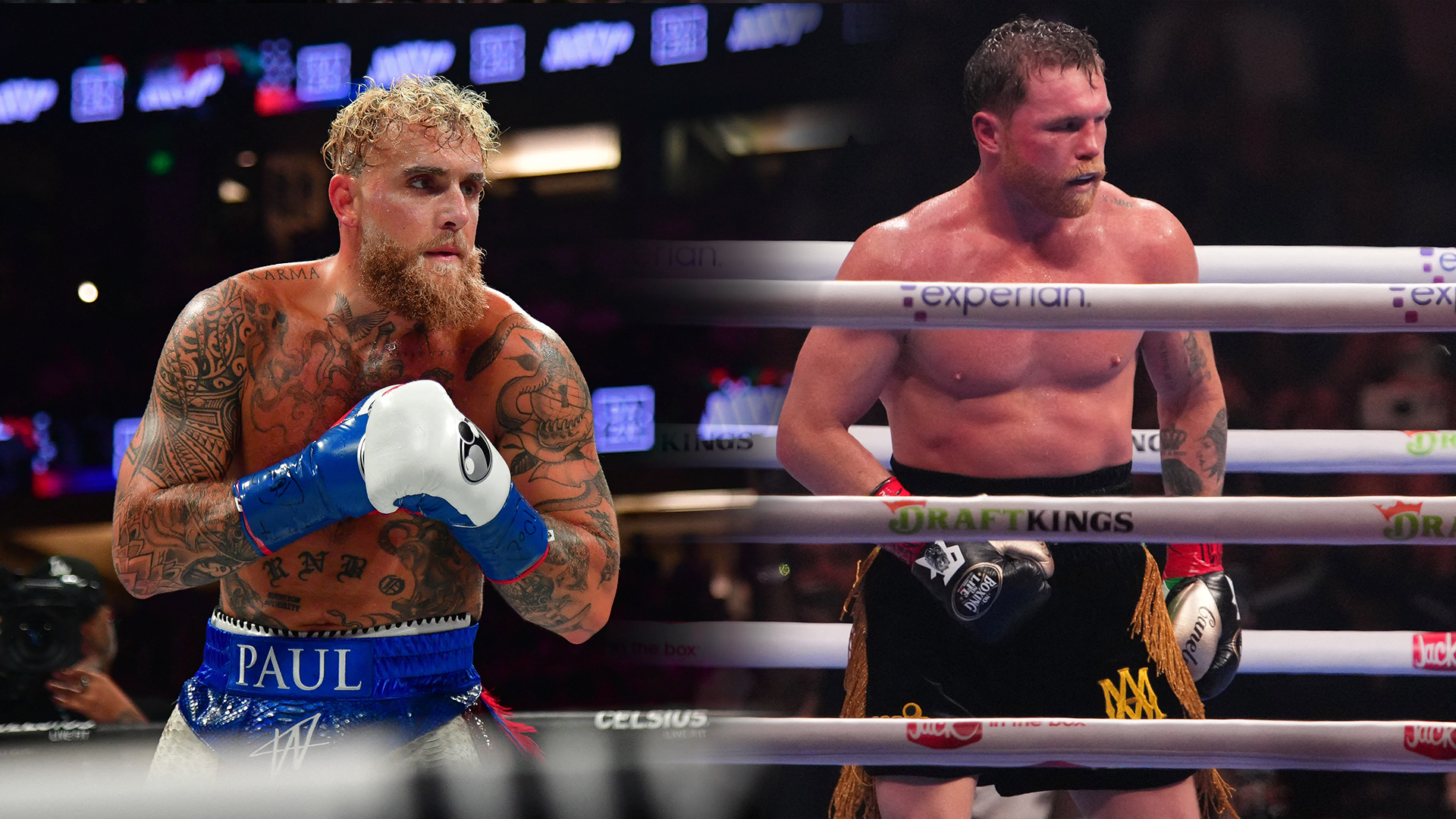 Jake Paul, Canelo Álvarez