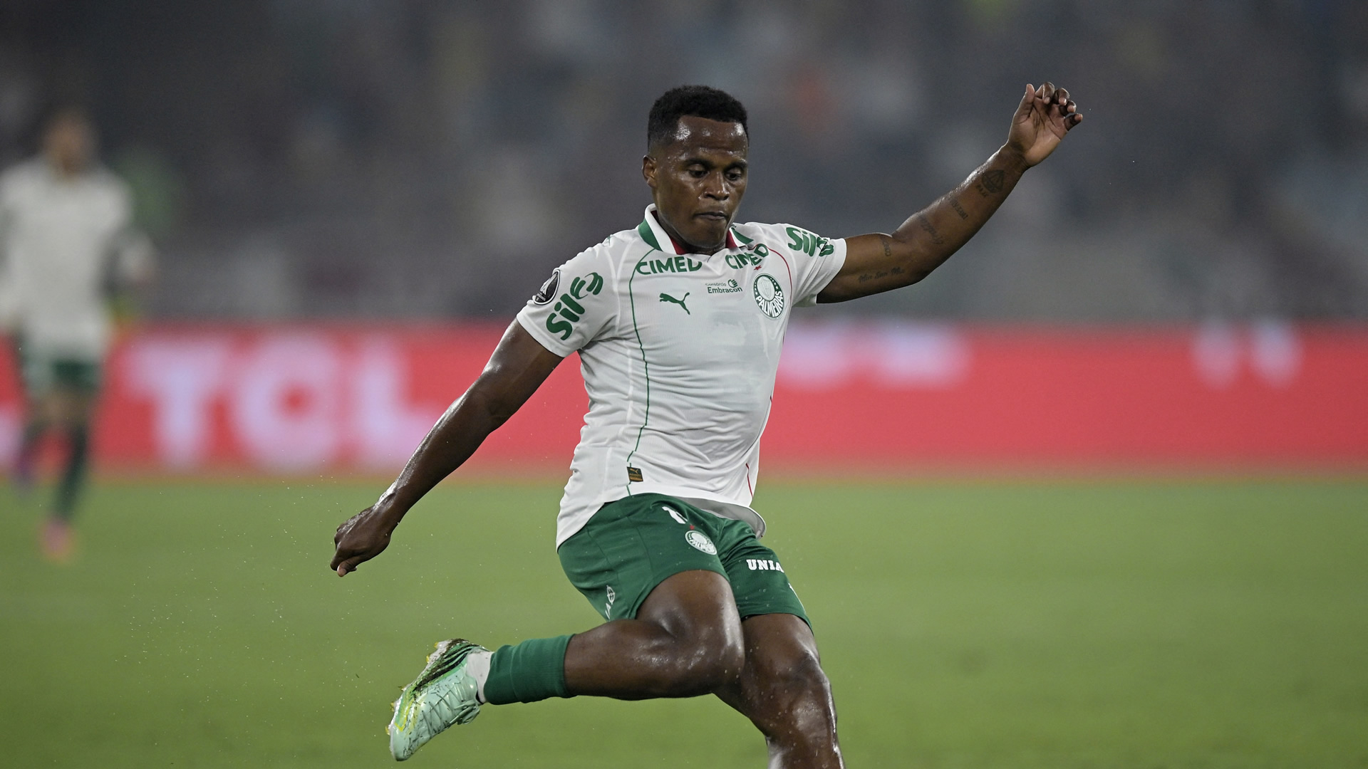 Jhon_Arias_Palmeiras_Fluminense