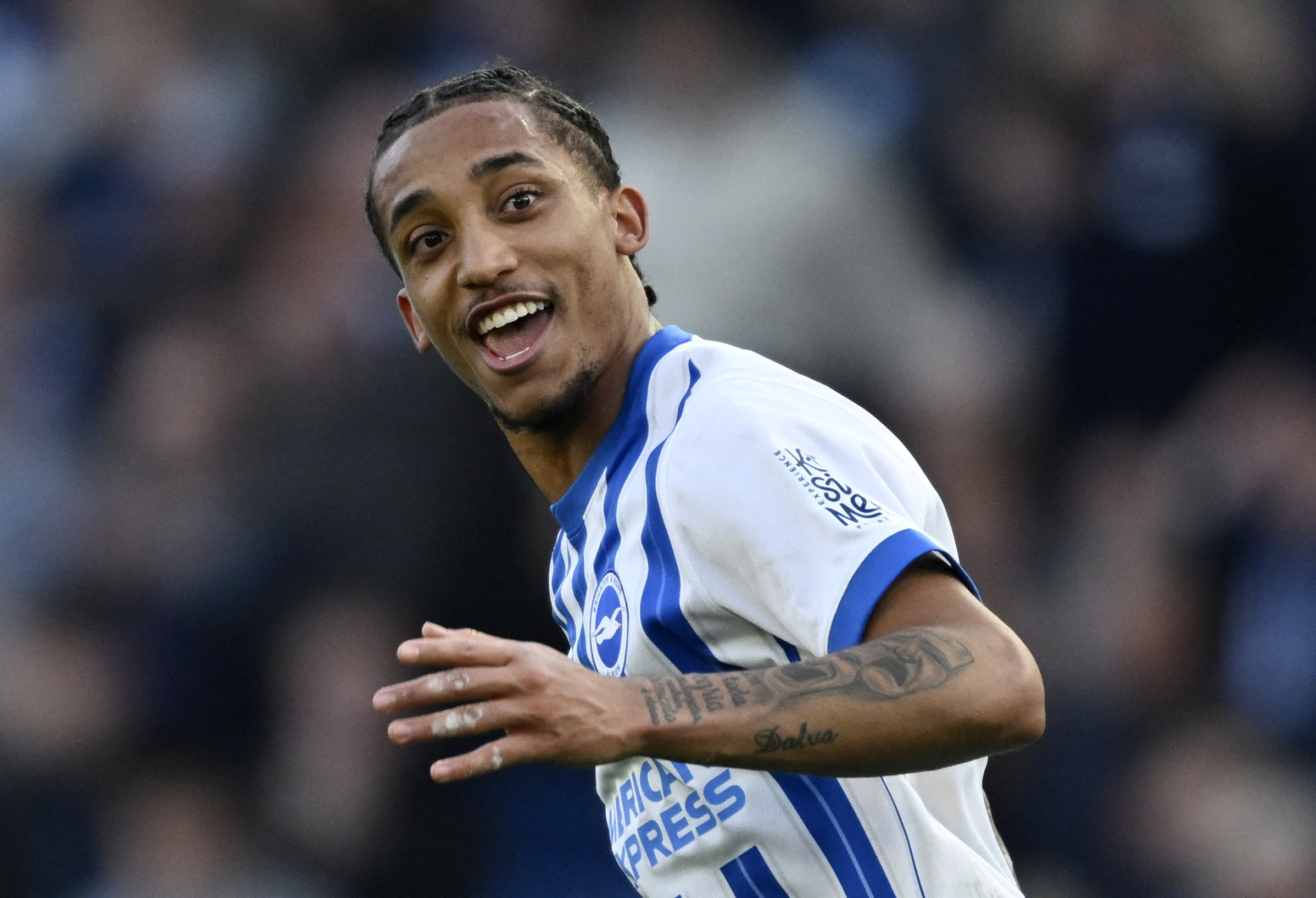Joao Pedro Brighton Chelsea