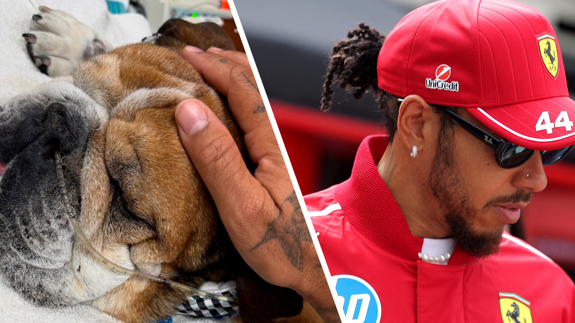 Lewis Hamilton, Roscoe
