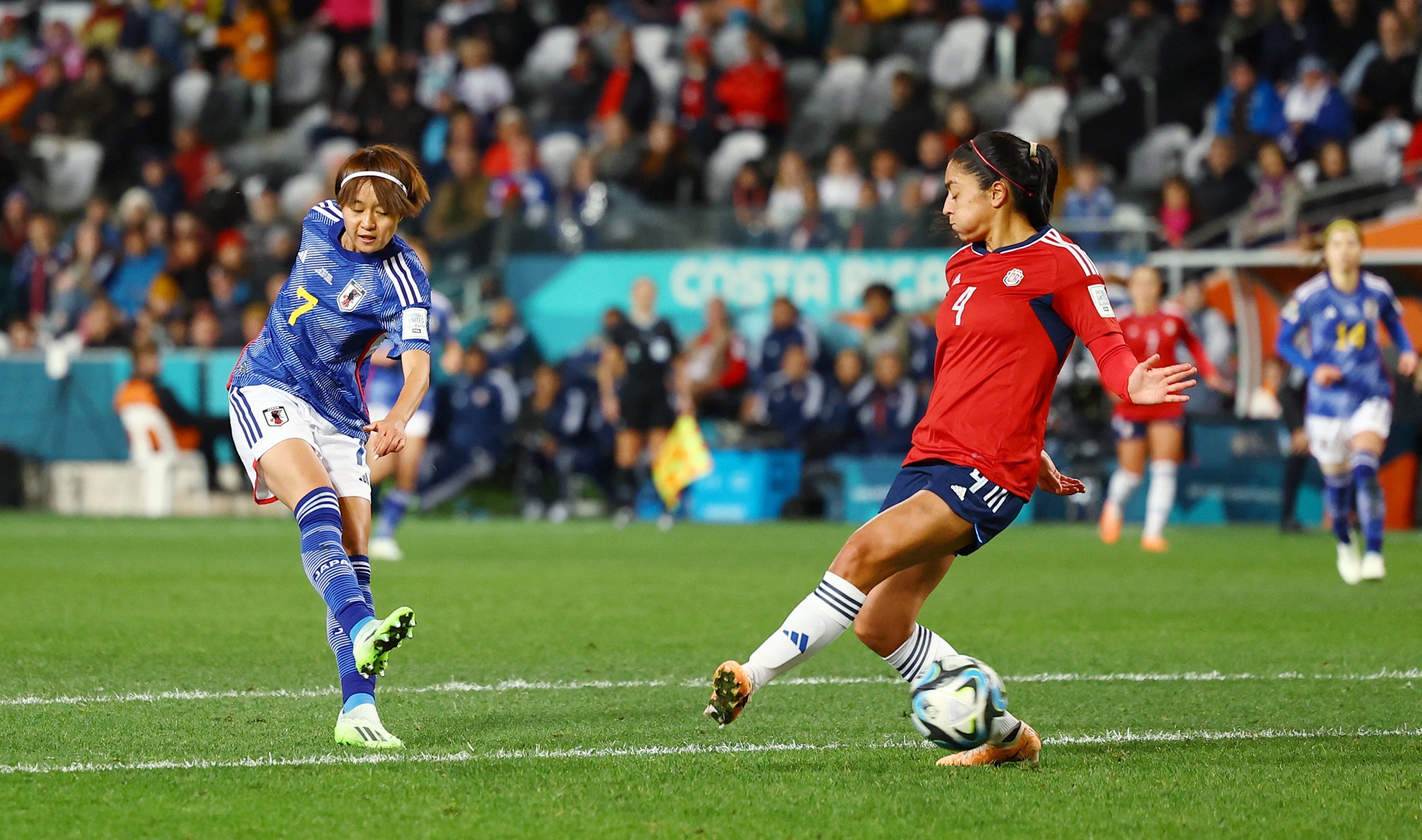 Nadeshiko