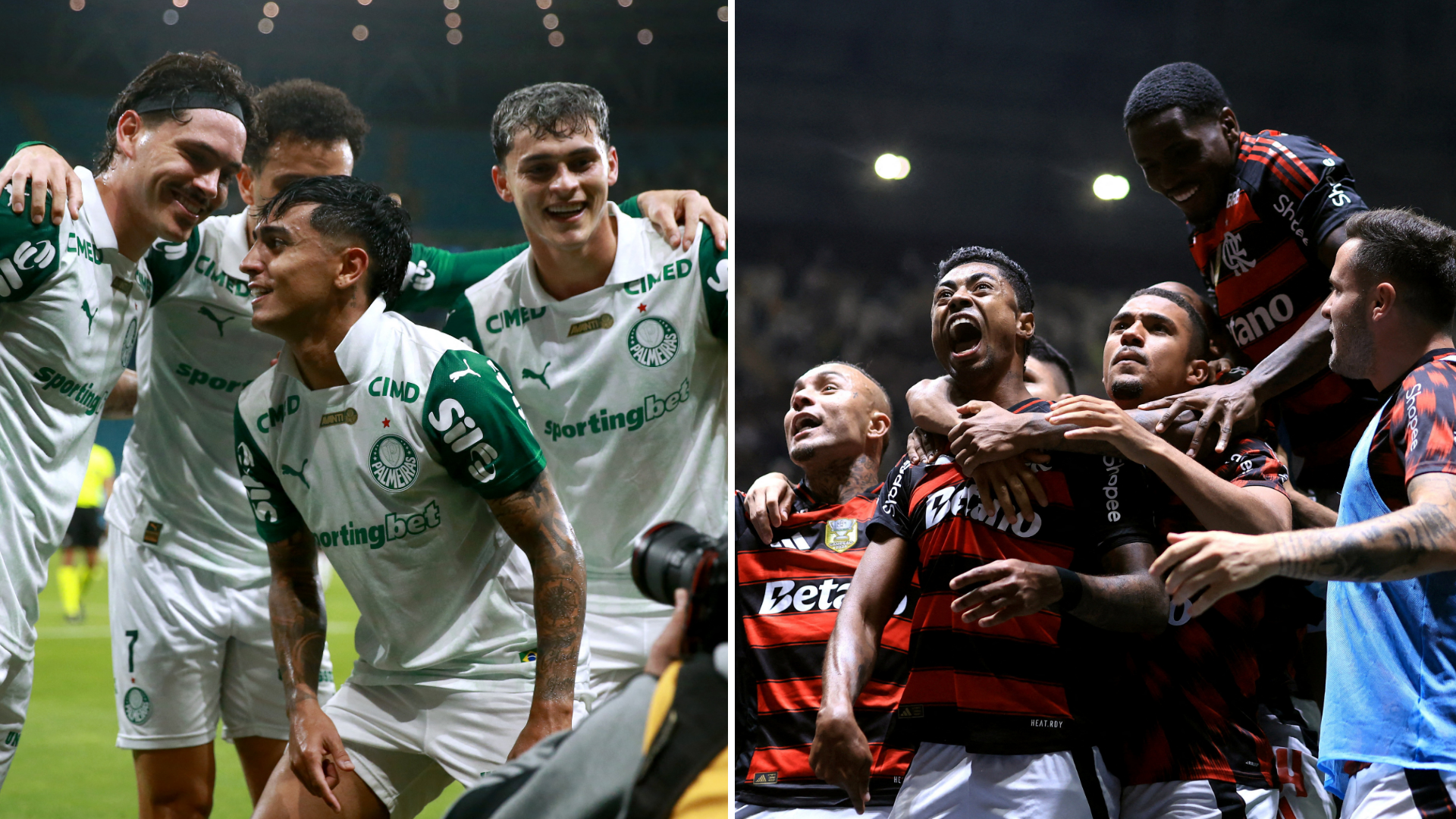 Palmeiras vs Flamengo