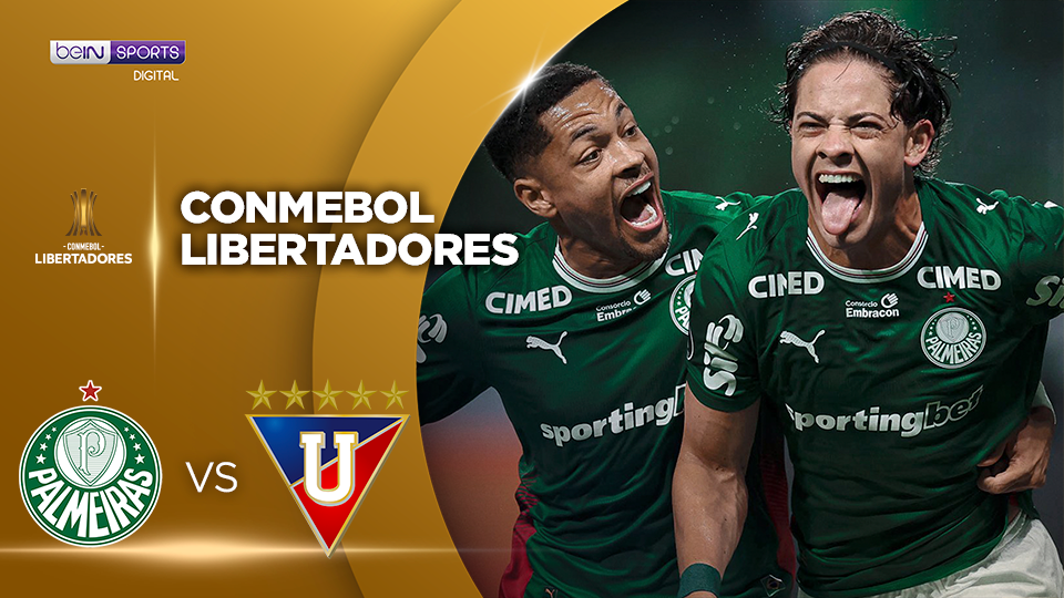 Palmeiras vs LDU