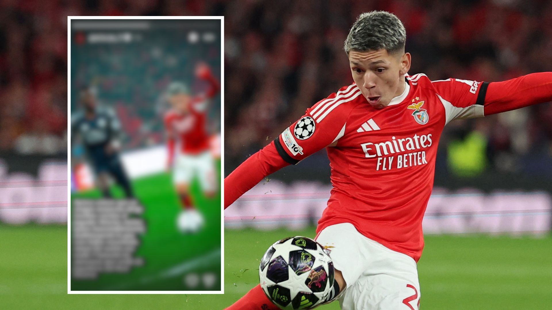 Prestianni Message Vini