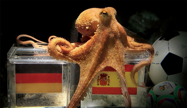 Pulpo Paul