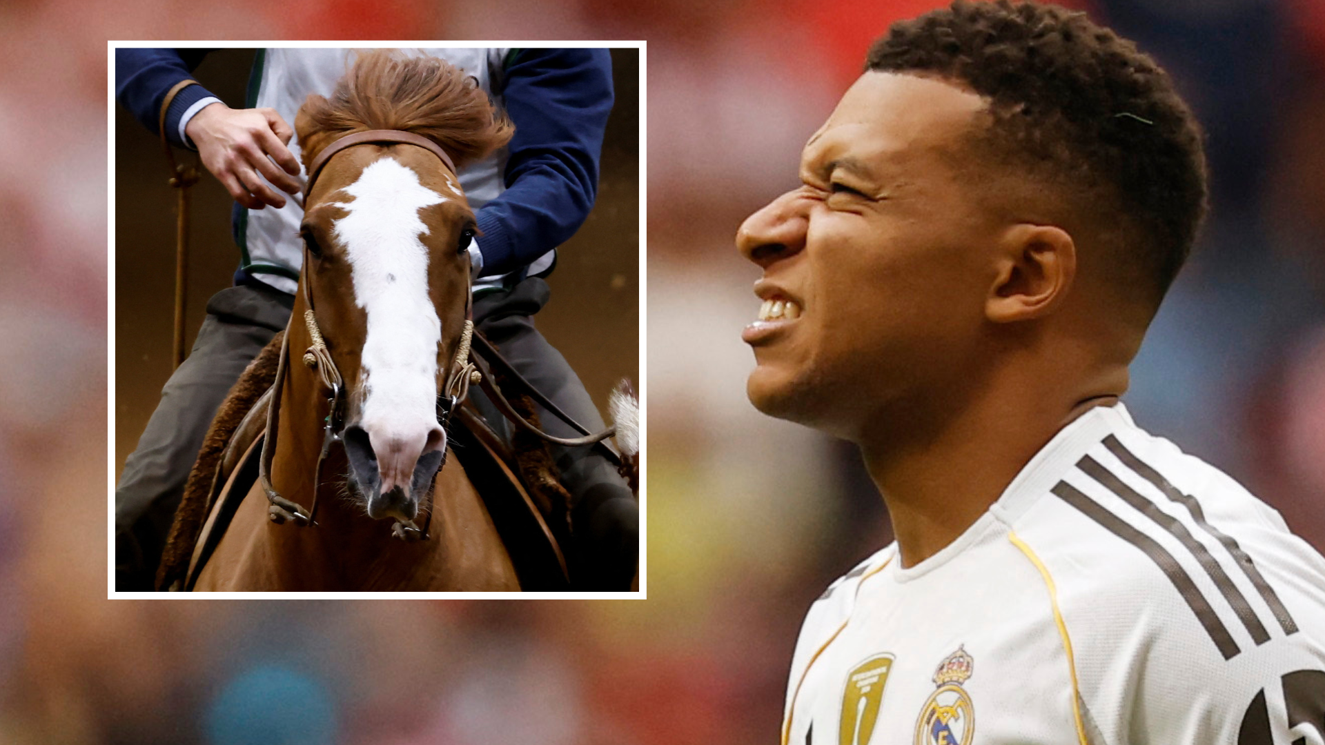 Real Madrid Horse Meat