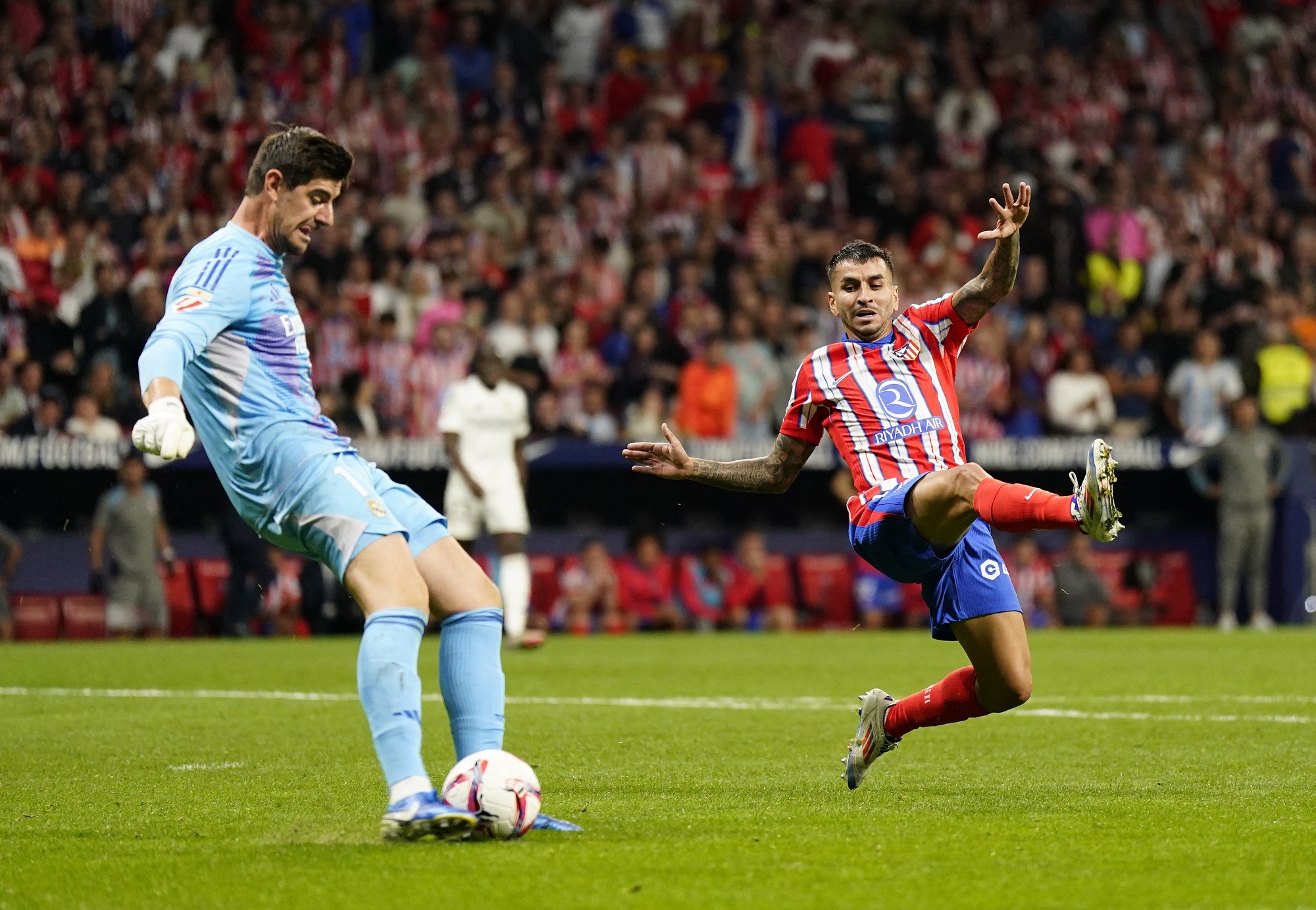 Thibaut Courtois in action