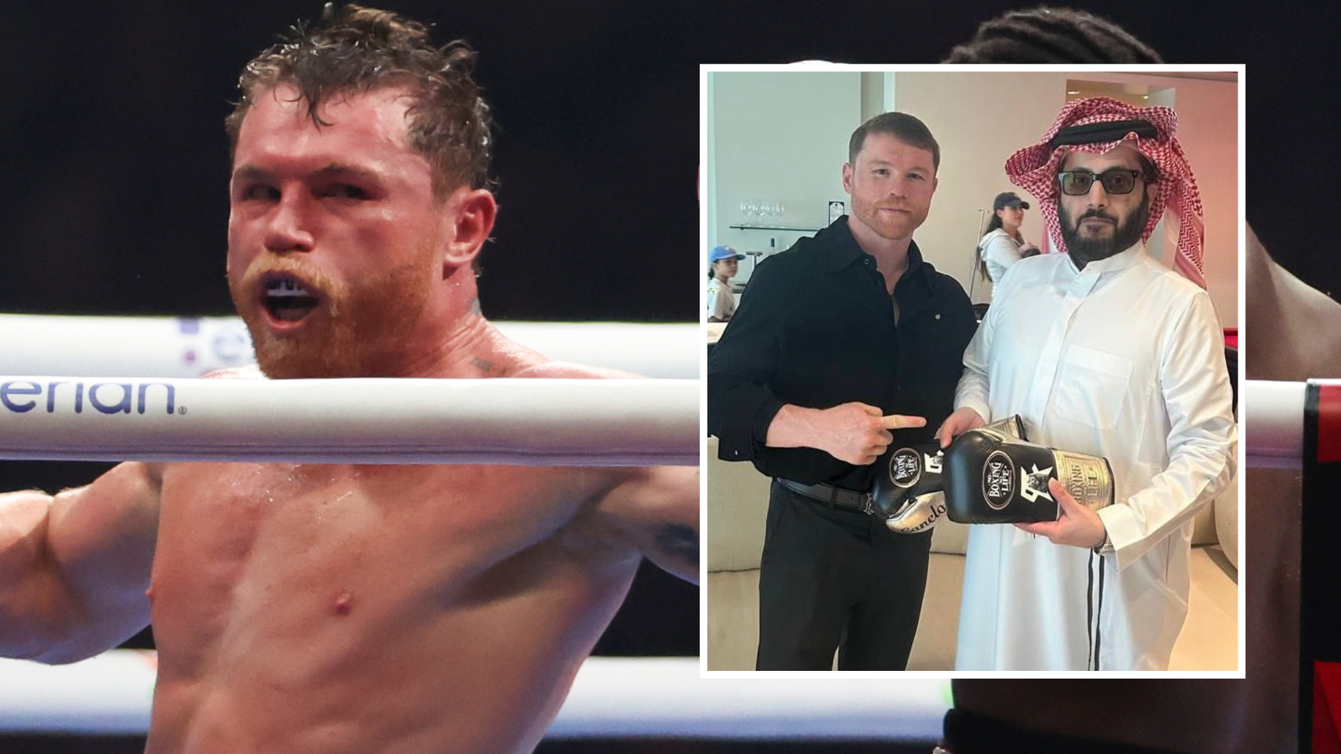 Turkish Canelo Plans