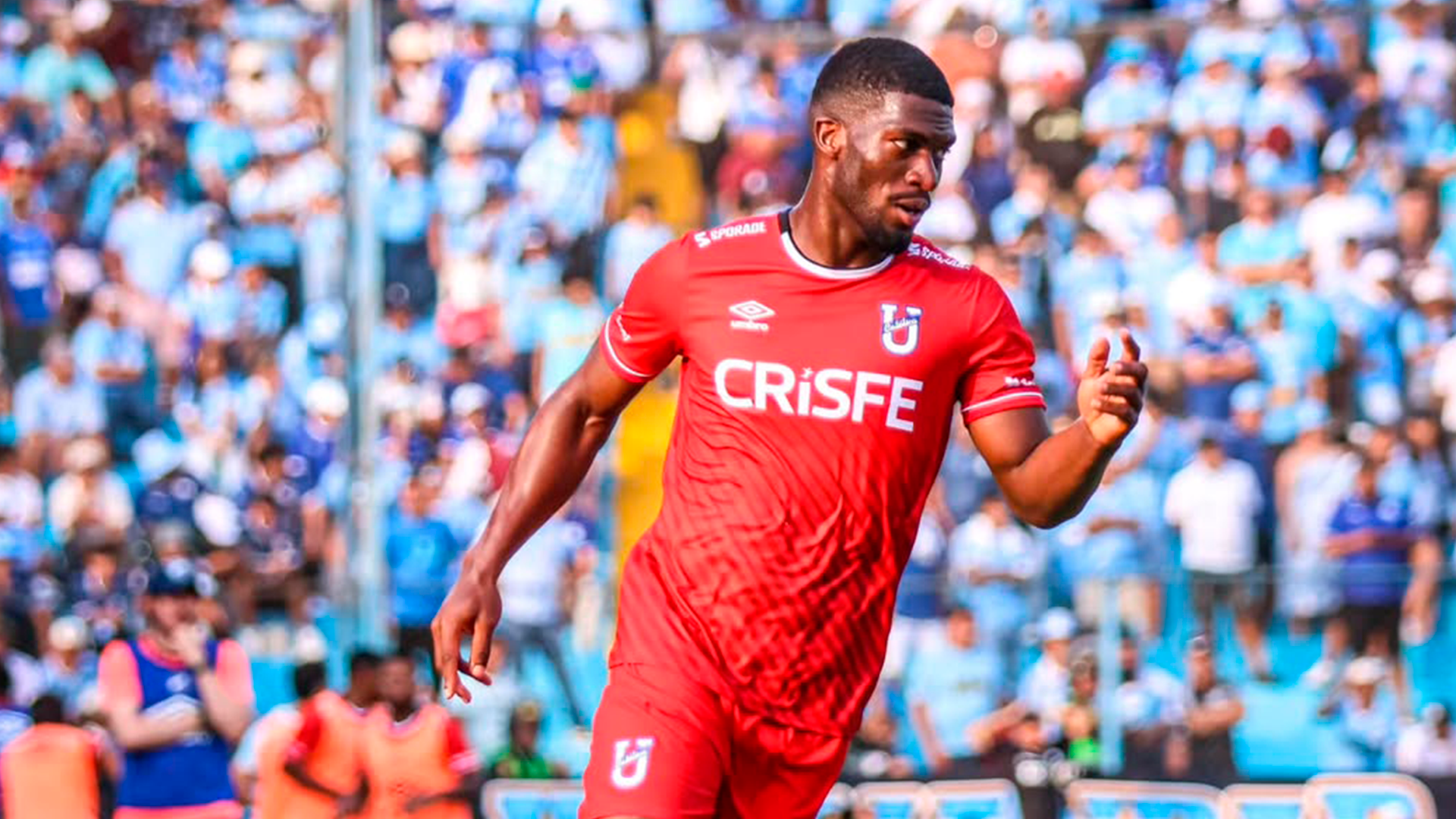 Universidad Católica