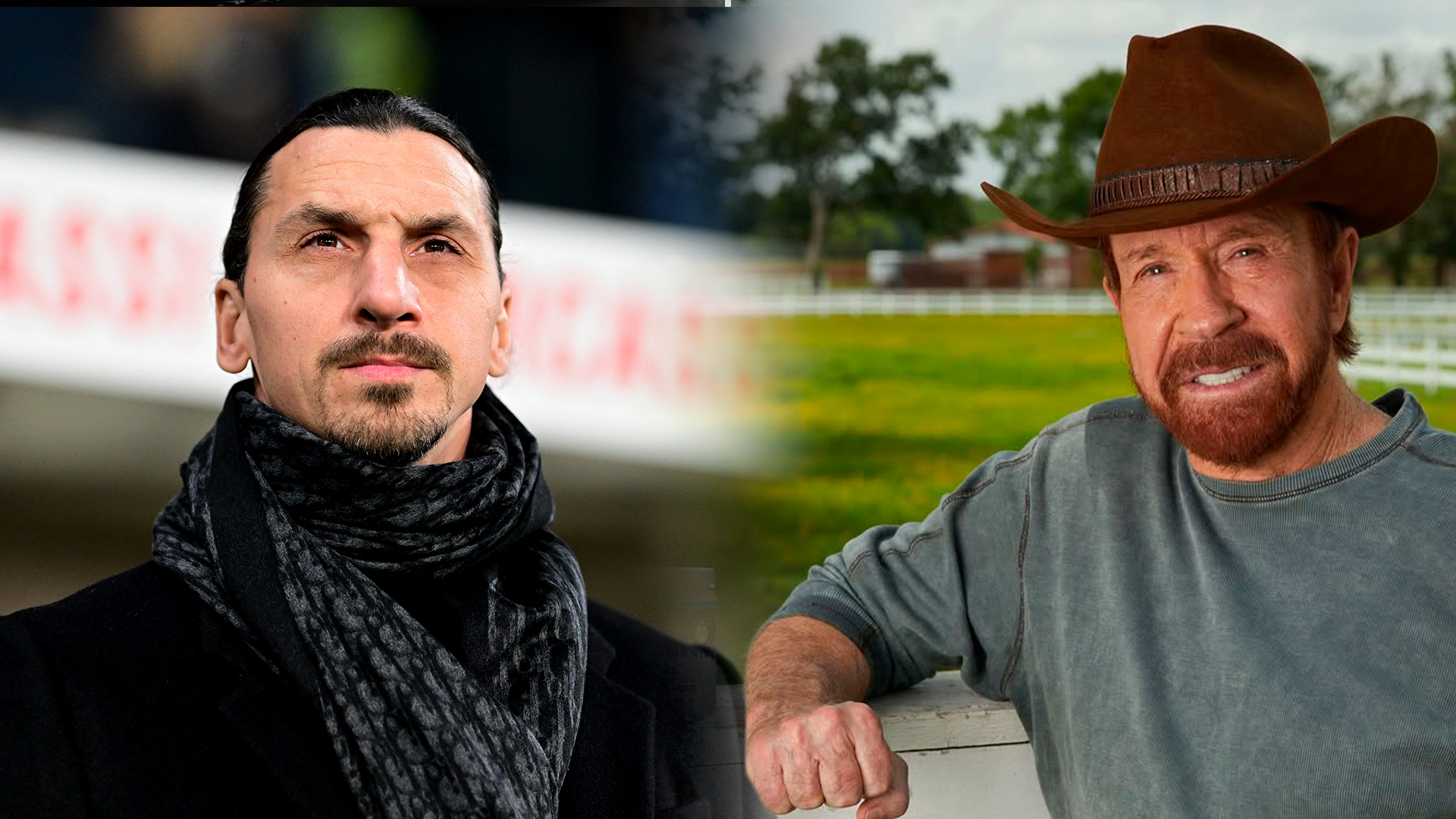 Zlatan Ibrahimovic, Chuck Norris