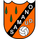 team logo