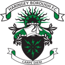 team logo