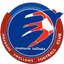 team logo