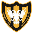 team logo