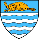 team logo
