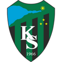 team logo