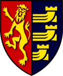 team logo