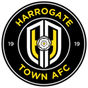 team logo