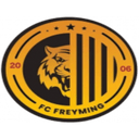 team logo
