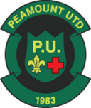 team logo
