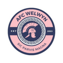 team logo