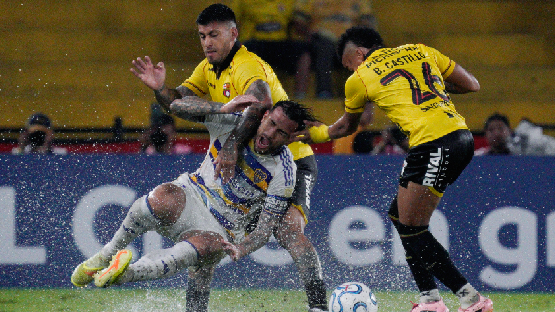 boca jr
